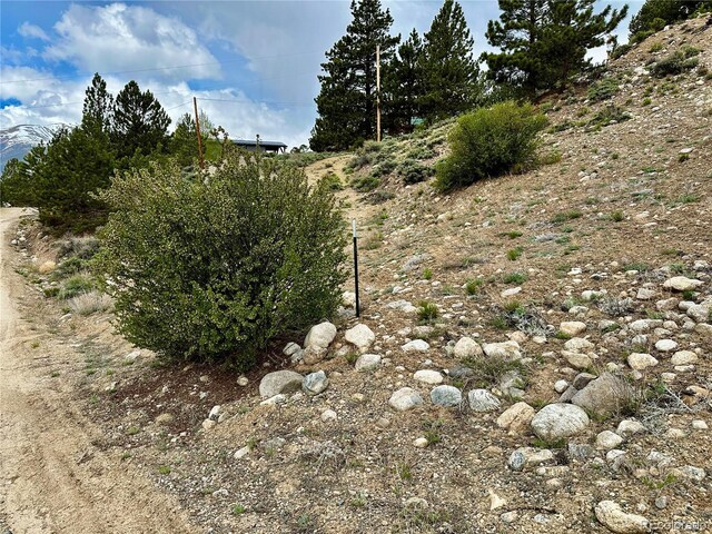 9 Mount Hope Dr, Twin Lakes, CO 81251 - photo 11