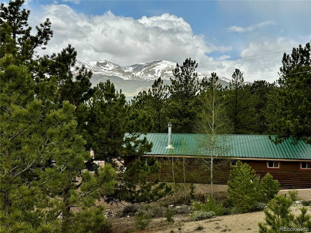 9 Mount Hope Dr, Twin Lakes, CO 81251 - photo 14