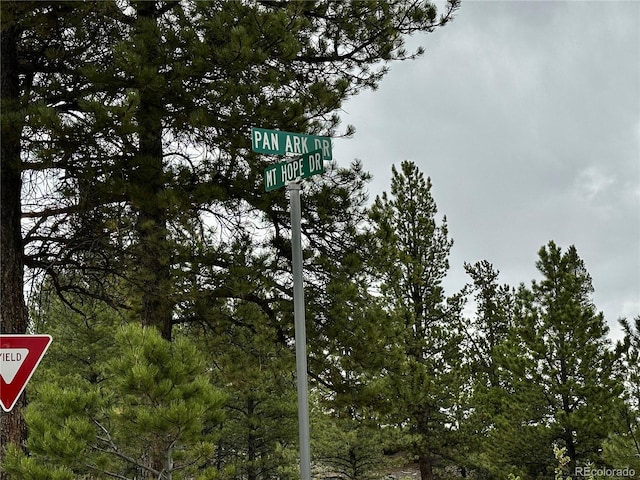 9 Mount Hope Dr, Twin Lakes, CO 81251 - photo 15