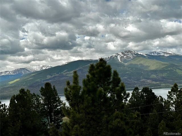 9 Mount Hope Dr, Twin Lakes, CO 81251 - photo 17
