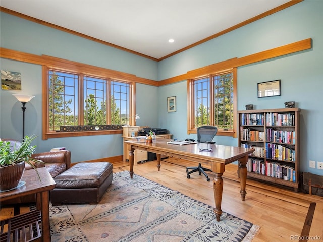 3395 Timbergate Trl, Evergreen, CO 80439 - office space featuring wood finished floors, ornamental molding, and recessed lighting