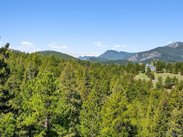 3395 Timbergate Trl, Evergreen, CO 80439 - mountain view featuring a forest