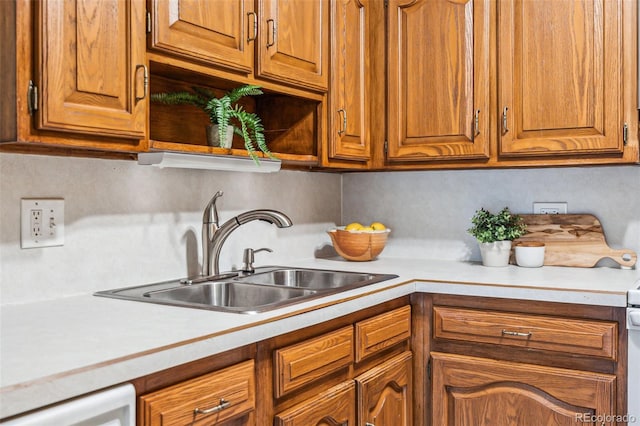 kitchen featuring sink and dishwashing machine