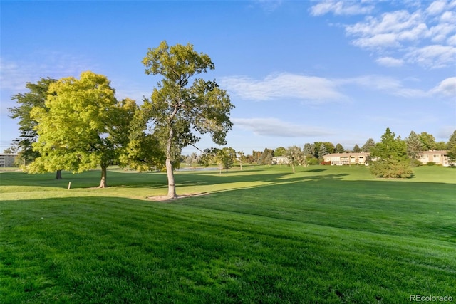 view of community featuring a yard