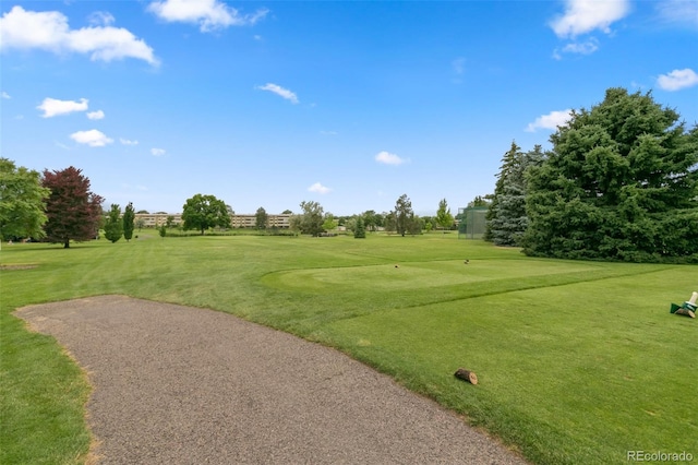 view of property's community with a yard