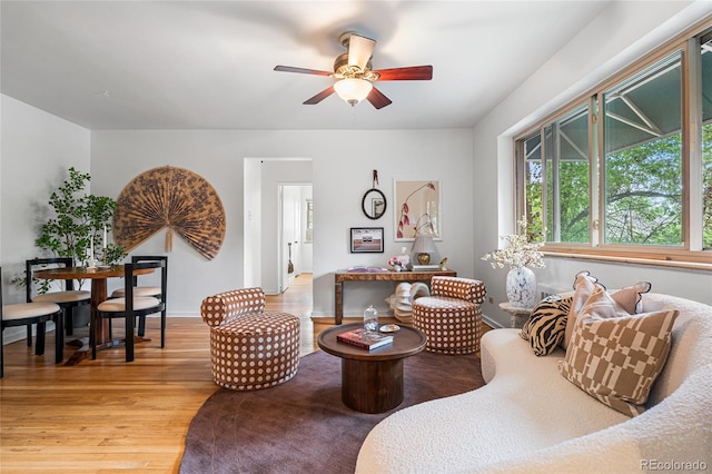 2100 N Franklin St Unit 5, Denver, CO 80205 - living room with a ceiling fan and light wood-style floors