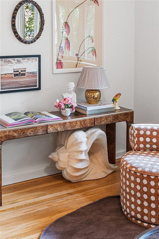 2100 N Franklin St Unit 5, Denver, CO 80205 - detailed view of wood finished floors