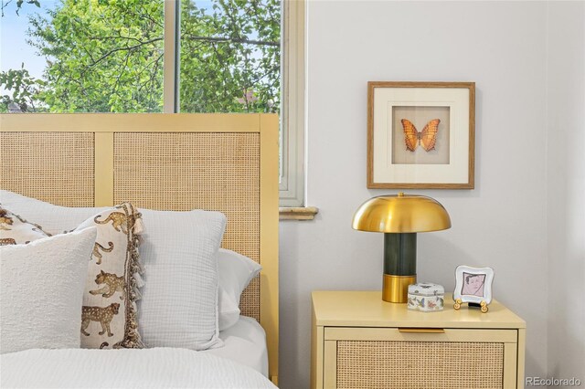 2100 N Franklin St Unit 5, Denver, CO 80205 - view of bedroom