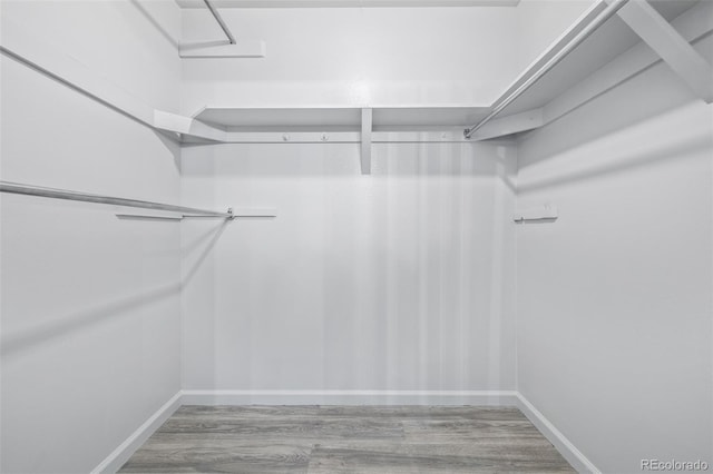 spacious closet featuring wood-type flooring