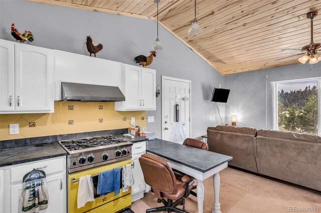 505 Allen Rd, Canon City, CO 81212 - photo 19