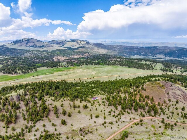 505 Allen Rd, Canon City, CO 81212 - photo 31