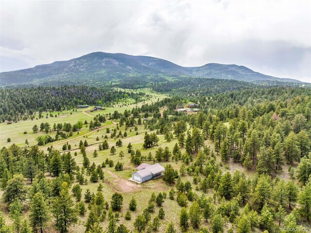 505 Allen Rd, Canon City, CO 81212 - photo 32