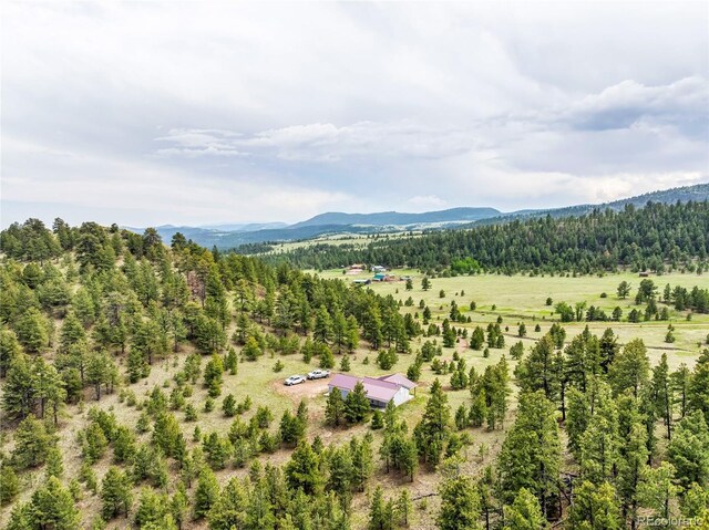 505 Allen Rd, Canon City, CO 81212 - photo 33