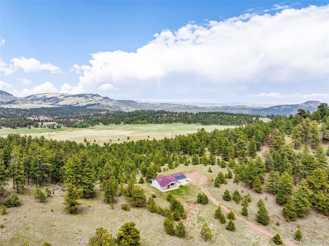 505 Allen Rd, Canon City, CO 81212 - photo 34