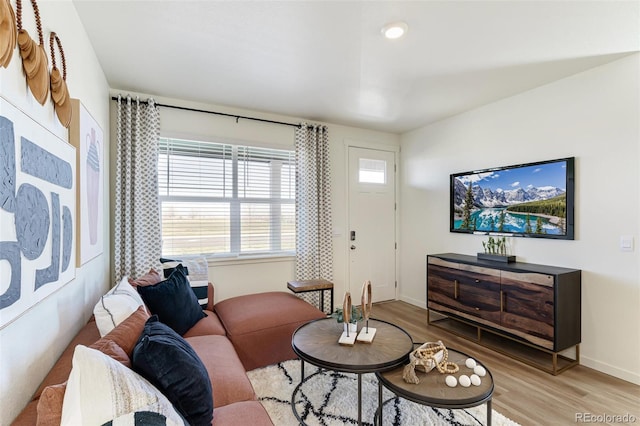 living room with light wood-type flooring