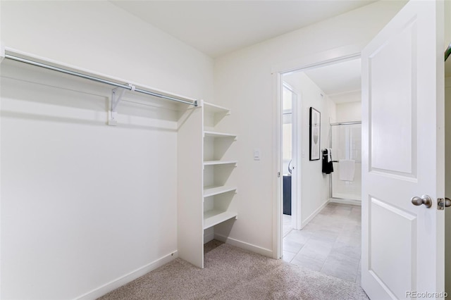 walk in closet featuring light colored carpet