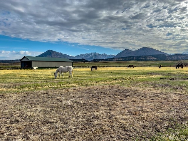 1071 Black Canyon Rd, Crawford, CO 81415