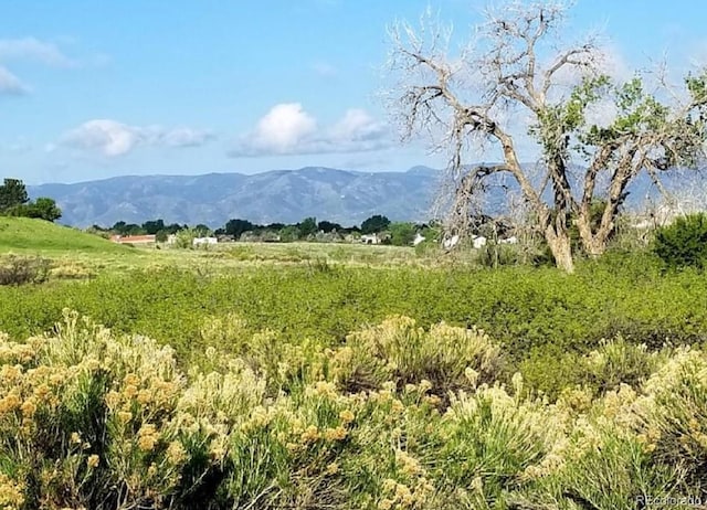 1583 Sunset Ridge Rd, Highlands Ranch, CO 80126 - view of mountain background