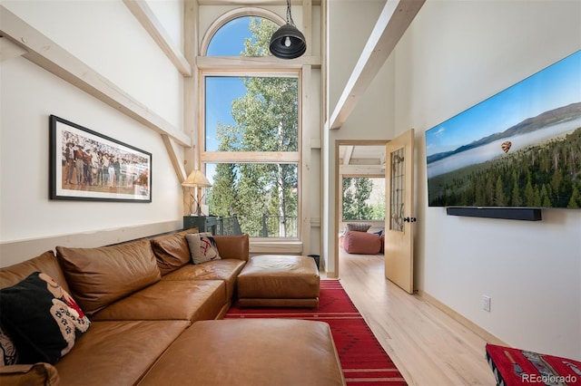 living room featuring a wealth of natural light, a high ceiling, and hardwood / wood-style flooring