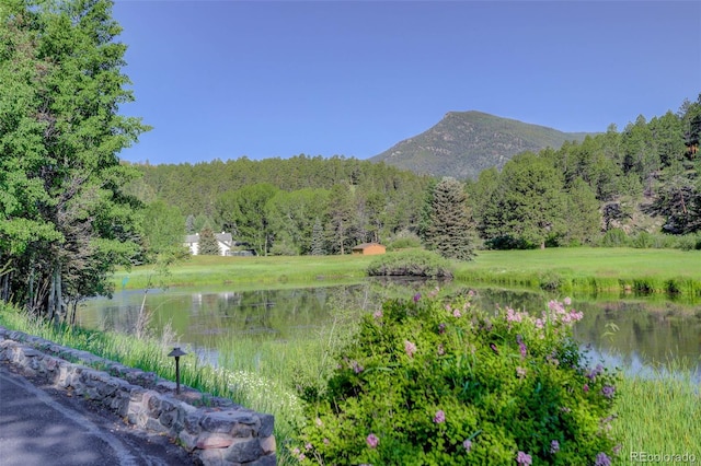 4241 S Meadow Brook Ln, Evergreen, CO 80439 - photo 43