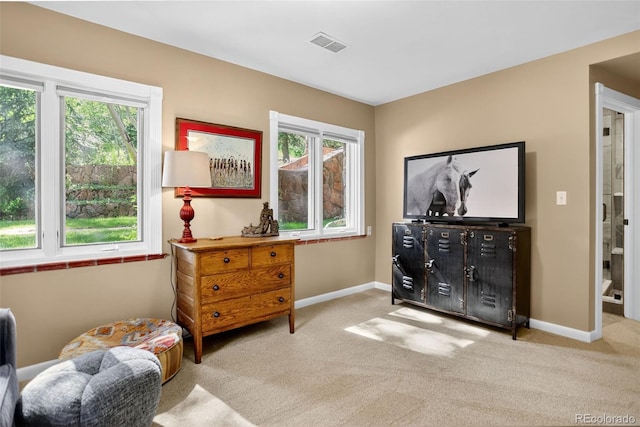 4241 S Meadow Brook Ln, Evergreen, CO 80439 - photo 39
