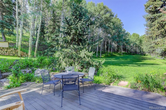4241 S Meadow Brook Ln, Evergreen, CO 80439 - photo 32