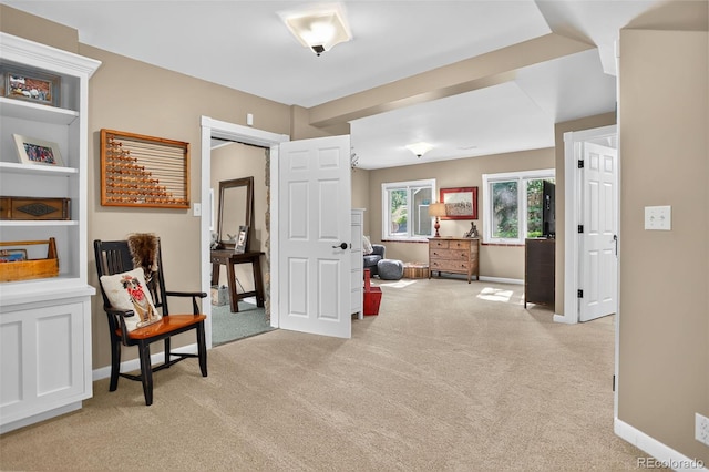 4241 S Meadow Brook Ln, Evergreen, CO 80439 - photo 33