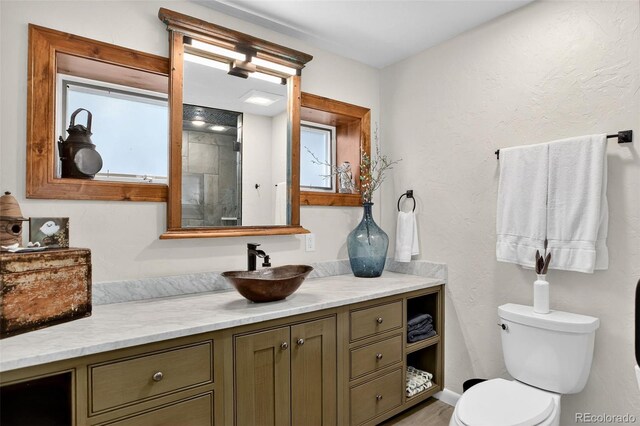 4241 S Meadow Brook Ln, Evergreen, CO 80439 - photo 36