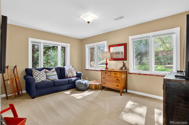 4241 S Meadow Brook Ln, Evergreen, CO 80439 - photo 38