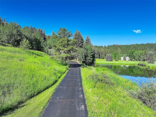 4241 S Meadow Brook Ln, Evergreen, CO 80439 - photo 41