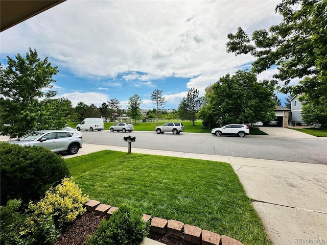 6102 S Yampa St, Aurora, CO 80016 - view of green lawn