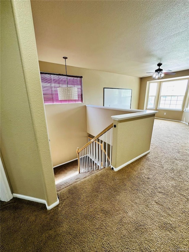 6102 S Yampa St, Aurora, CO 80016 - stairway with carpet, a textured ceiling, and a ceiling fan