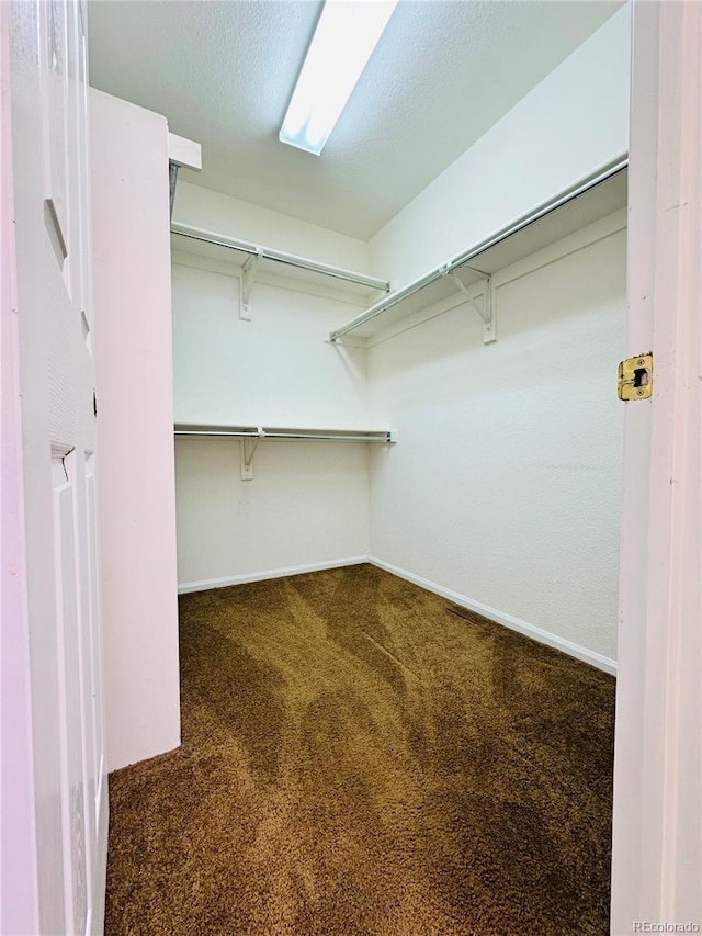 6102 S Yampa St, Aurora, CO 80016 - walk in closet with carpet flooring