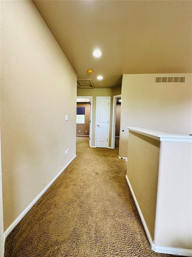 6102 S Yampa St, Aurora, CO 80016 - photo 15