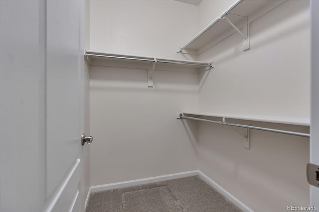 3678 Shadow Cir, Castle Rock, CO 80109 - walk in closet featuring carpet floors