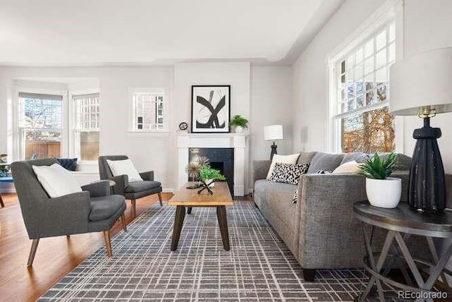 living room with dark wood-type flooring