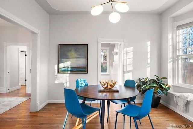 dining area with wood-type flooring