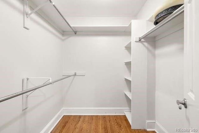 walk in closet with hardwood / wood-style floors