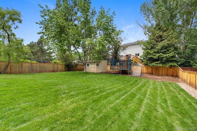 23 Honey Locust, Littleton, CO 80127 - fenced backyard featuring a storage unit and a trampoline