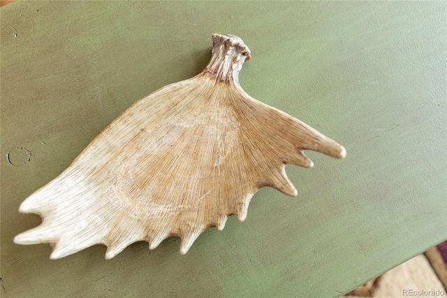 detailed view
