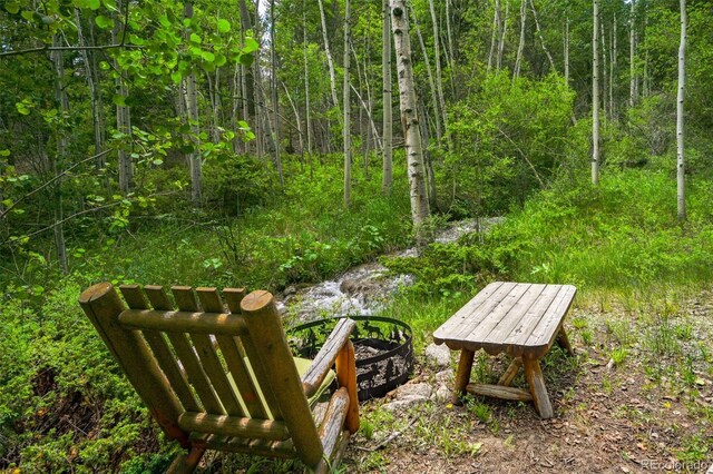 32806 Lakeside Dr, Buena Vista, CO 81211 - view of community featuring a forest view
