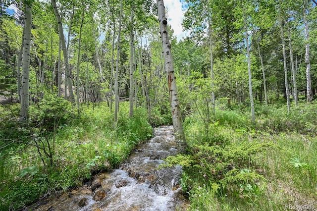 32806 Lakeside Dr, Buena Vista, CO 81211 - view of tree filled area