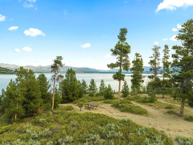 170 Buckhorn Cir, Granby, CO 80446 - photo 40