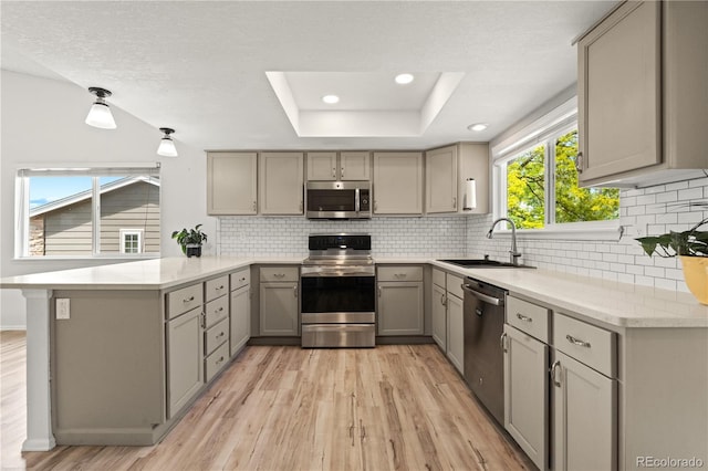 381 Mountain Cloud Cir, Highlands Ranch, CO 80126 - kitchen featuring stainless steel appliances, gray cabinets, a sink, a peninsula, and light wood-style floors