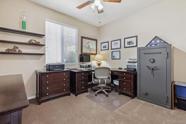 10448 Kicking Horse Dr, Littleton, CO 80125 - office space featuring light carpet and ceiling fan