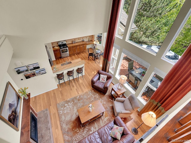 848 Huntington Pl, Highlands Ranch, CO 80126 - living area featuring a towering ceiling, healthy amount of natural light, and light wood-style flooring