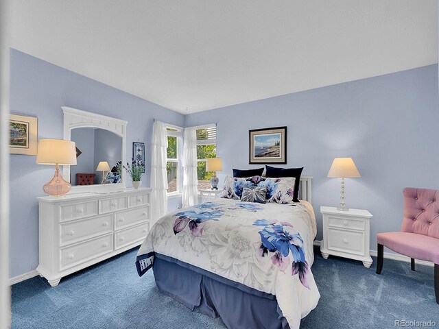 848 Huntington Pl, Highlands Ranch, CO 80126 - bedroom with carpet and baseboards
