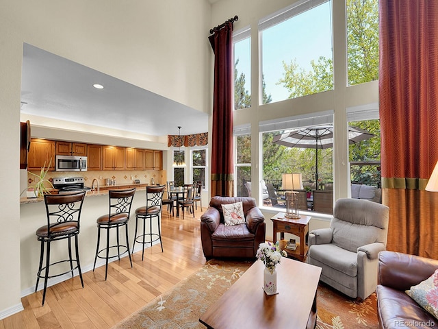 848 Huntington Pl, Highlands Ranch, CO 80126 - living room with light wood-style flooring, a towering ceiling, and recessed lighting