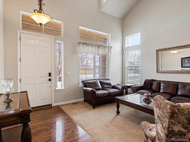 living area with baseboards, high vaulted ceiling, and wood finished floors