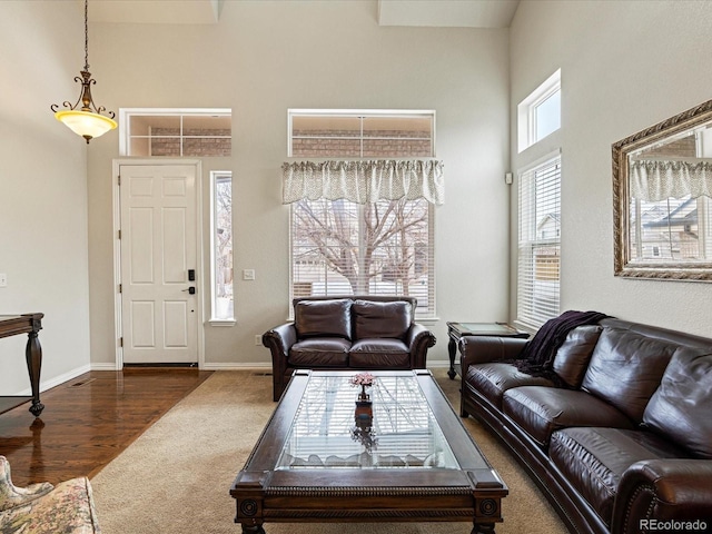 living area with carpet, a high ceiling, baseboards, and wood finished floors